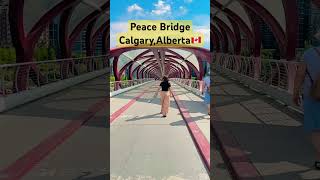 Peace Bridge  Canada  My Travel 2024 shortvideo viralvideo fyp calgary peacebridge canada [upl. by Aysab]