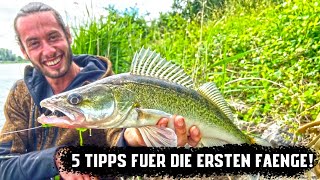 Angeln für Anfänger  5 Tipps um SOFORT die ersten Fische zu fangen [upl. by Seward]