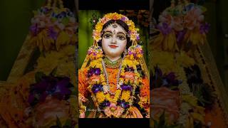 Ras vilasini shree radhe 🙏👀🌼 jairadharani shreeradha trending shorts viralvideo whatsappstatus [upl. by Anoval444]