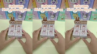 Unboxing Mini Labubu Blindbox DIY labubu [upl. by Llemaj]