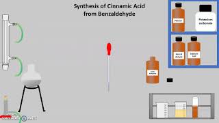 Synthesis of Cinnamic Acid From Benzaldehyde [upl. by Iblehs286]