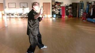 Yang Tai Chi Long Form w Dr Chris Strelau CMAA [upl. by Nothgierc]