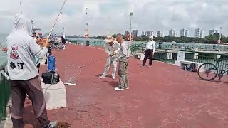 Bedok Jetty today fishing is a bit better Still many flower crabs [upl. by Yemrej]