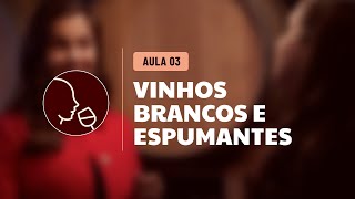 Aula 3  Vinhos Brancos e Espumantes [upl. by Ayvid]