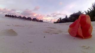 Olhuveli Beach amp Spa Maldives [upl. by Danella]