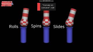 Artrokinematics artrocinemática [upl. by Creigh]