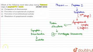 Which of the following event takes place during Diplotene stage of prophase I of meosis [upl. by Verdha]