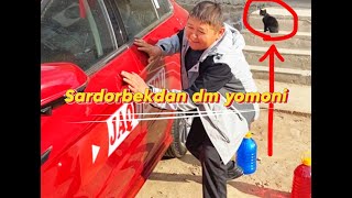 SARDORBEK DM YOMONQU⚡️ 3000 TA SOTILDI ✅JAQU SHOU [upl. by Ettezzus]