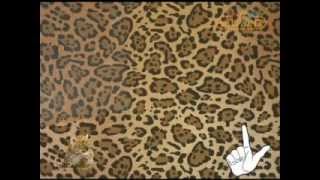 JUNGLE COLLECTION  Leoparde  Official Video by Valpaint [upl. by Aurea333]