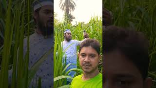 Somadhan Chao Jodi Jibone Morone  সমাধান চাও যদি জীবনে মরনে  Islamic Song  naturephotography [upl. by Eizzik341]