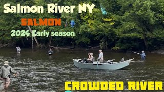 Early salmon season 2024 Salmon River New York CROWDED river [upl. by Elliot819]