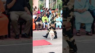 So beautiful Dog Squad Parade bsf dog parade shortvideo shorts shorts [upl. by Ardath]