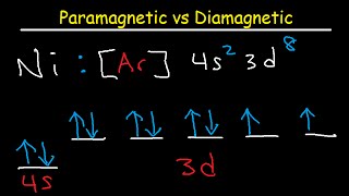 Paramagnetic vs Diamagnetic  Paired vs Unpaired Electrons  Electron Configuration [upl. by Carolyn]