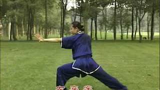 Bagua Training Program Complete Form Part 4 [upl. by Angela]