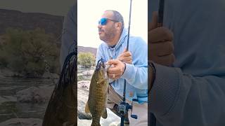 Fall is coming fast cold water Smallmouth Bass idahofishing fishing bassfishing bass [upl. by Aifoz]