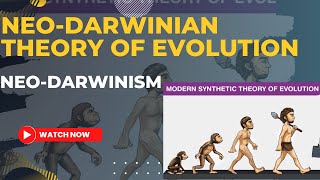 NeoDarwinian theory of evolutionModern synthetic theory of evolution  NeoDarwinism for MScBsc [upl. by Gnaw]