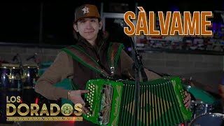 Los Dorados  Sálvame En Vivo [upl. by Lothar]