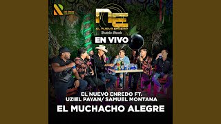 Muchacho Alegre  En Vivo Live [upl. by Oetomit]