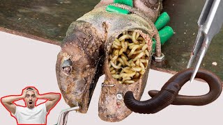 Cut Trim and Cleaning  Screw with Nails WAS STUCK IN cows hoof TK003 [upl. by Eudocia]