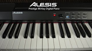 Alesis Prestige 88Key Digital Piano Sound demo  Gear4music [upl. by Suertemed]