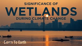 World Wetlands Day 2022 Importance of wetlands at the time of climate change [upl. by Ennyroc]