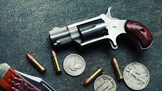 NAA Mini Revolver 22LR  Long Term Review  Shooting amp Carry [upl. by Siberson]