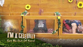 Trial Tease Grot Yoga  Im A Celebrity Get Me Out Of Here [upl. by Frank]