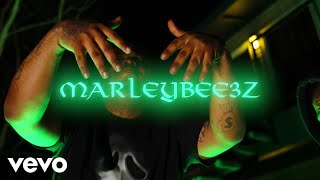 Marleybee3z  EBK Jaaybo Diss [upl. by Pet394]