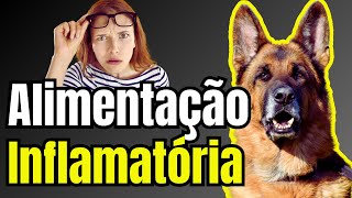 Alimentos Antiinflamatórios para Cães e A Dieta Inflamatória [upl. by Emery]