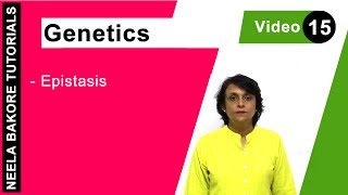 Genetics  Principles of Inheritance amp Variations  NEET  Epistasis  Neela Bakore Tutorials [upl. by Romeo]