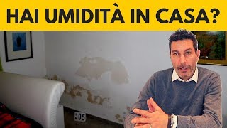 Umidità in casa come eliminarla DEFINITIVAMENTE [upl. by Barcellona]