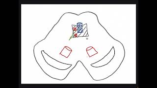 The Course of the Oculomotor Nerve CN III in the Midbrain [upl. by Navak]