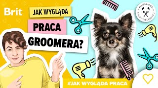 JAK WYGLĄDA PRACA Groomera  Brit Polska [upl. by Shlomo262]