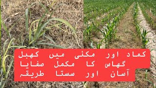 How to control khabal grass cynodon dactylon in maize and sugarcane crop [upl. by Eugnimod]