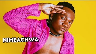 Mbosso  Nimeachwa  Official lyrics video [upl. by Truelove]