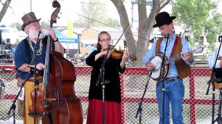 thelopecom  Alferd Packer Memorial String Band performs quotPiquot at the 2011 Kansas State Fair [upl. by Thagard845]