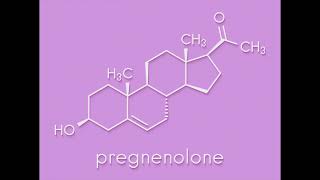 SILENT QUANTUM PREGNENOLONE  OPTIMAL PREGNENOLONE MORPHIC FIELD [upl. by Petr]