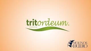 Tritordeum [upl. by Sidnak587]