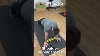 One Essential Exercise for Serratus Anterior  Plank to Pike with Bands for Shoulder Impingement [upl. by Aihsekal]