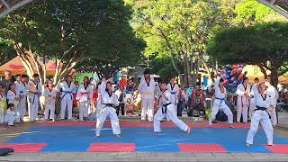 Demostración de Taekwondo  Roldanillo Valle  Colombia [upl. by Anahsat]