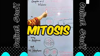 quotUnderstanding Mitosis Cell Division Explained with Diagrams MitosisExplained BiologyLecture [upl. by Keynes]