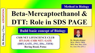 BetaMercaptoethanol  DTT  Role in SDS PAGE  CSIR NET LIFE SCIENCE  Dr Jitendra Kr [upl. by Daisey]