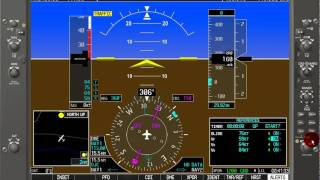 Garmin G1000 Tutorial Speed BugsTimer [upl. by Elrak265]