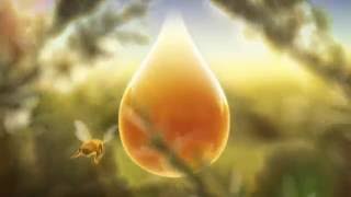 Manuka honey every precious drop [upl. by Leksehcey728]