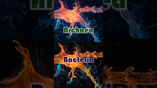 Archaea vs Bacteria archaeology bacteria biodiversity [upl. by Fidelis]