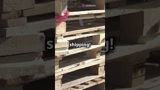 quotShocking Truth About Wooden Pallet Seats You Need to Knowquotdiy homediy woodworking howtomake [upl. by Constanta206]