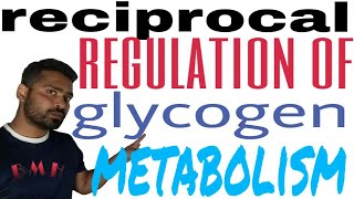 Regulation of glycogen metabolism  reciprocal regulation of glycogen synthesis and breakdown [upl. by Netsruk]