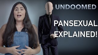 Pansexuality Explained [upl. by Cohlier]