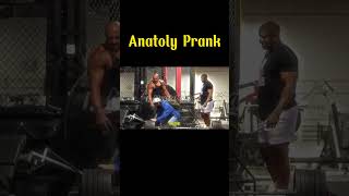 Anatoly Prank With Big Guy II 😂😂 anatoly prank gym [upl. by Weingartner]