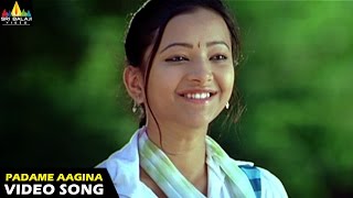 Kotha Bangaru Lokam Songs  Padame Aagina Video Song  Varun Sandesh Swetha Basu  Sri Balaji Video [upl. by Bobbi498]